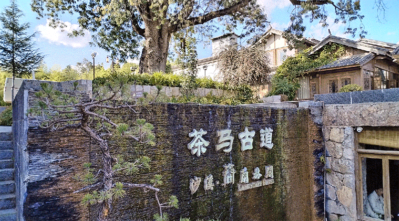 1706164014957508.gif 02.gif